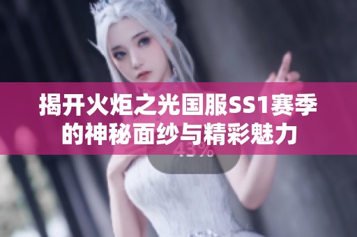 揭开火炬之光国服SS1赛季的神秘面纱与精彩魅力