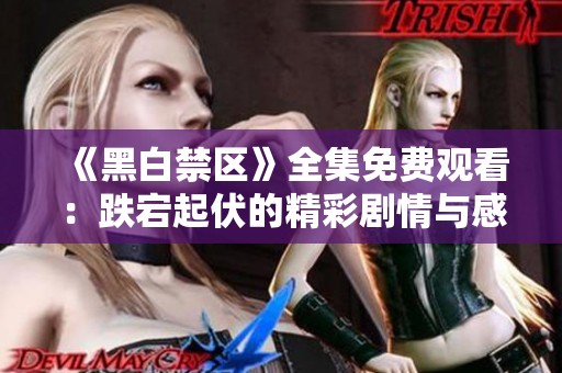 《黑白禁区》全集免费观看：跌宕起伏的精彩剧情与感人结局解析