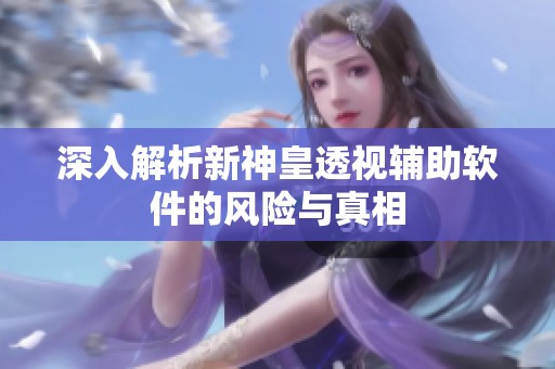深入解析新神皇透视辅助软件的风险与真相