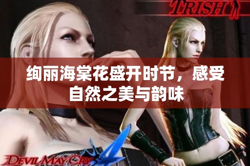 绚丽海棠花盛开时节，感受自然之美与韵味