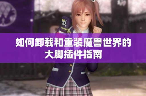 如何卸载和重装魔兽世界的大脚插件指南