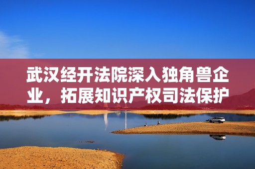 武汉经开法院深入独角兽企业，拓展知识产权司法保护服务新模式