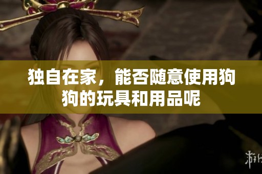 独自在家，能否随意使用狗狗的玩具和用品呢