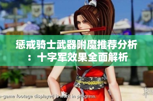 惩戒骑士武器附魔推荐分析：十字军效果全面解析