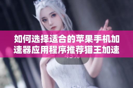 如何选择适合的苹果手机加速器应用程序推荐猫王加速器