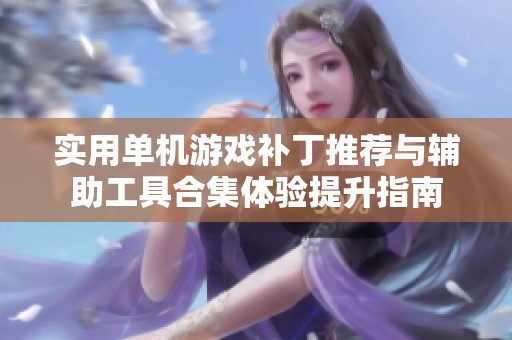 实用单机游戏补丁推荐与辅助工具合集体验提升指南