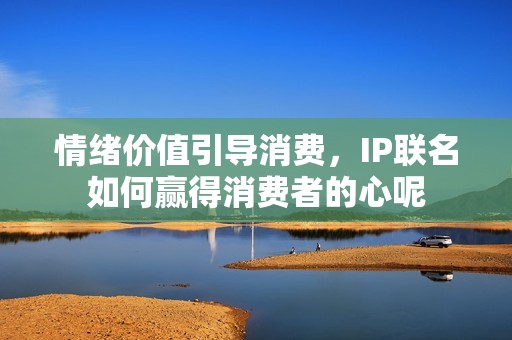 情绪价值引导消费，IP联名如何赢得消费者的心呢