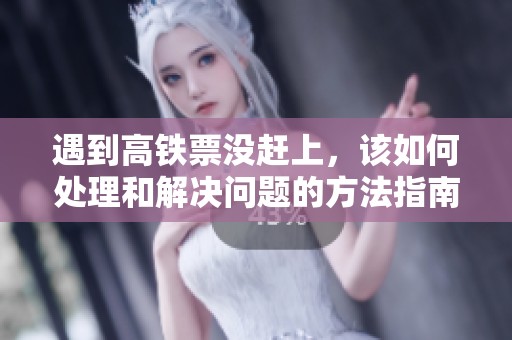 遇到高铁票没赶上，该如何处理和解决问题的方法指南