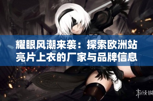 耀眼风潮来袭：探索欧洲站亮片上衣的厂家与品牌信息