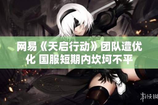 网易《天启行动》团队遭优化 国服短期内坎坷不平