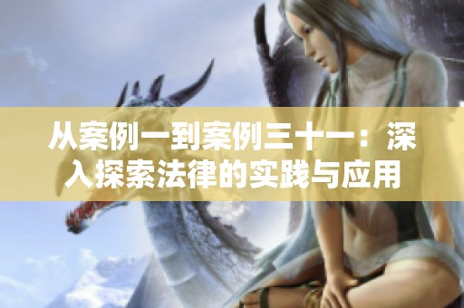 从案例一到案例三十一：深入探索法律的实践与应用
