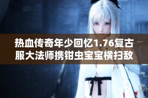 热血传奇年少回忆1.76复古服大法师携钳虫宝宝横扫敌人