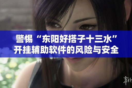 警惕“东阳好搭子十三水”开挂辅助软件的风险与安全隐患