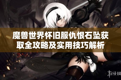 魔兽世界怀旧服仇恨石坠获取全攻略及实用技巧解析