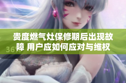 贵度燃气灶保修期后出现故障 用户应如何应对与维权