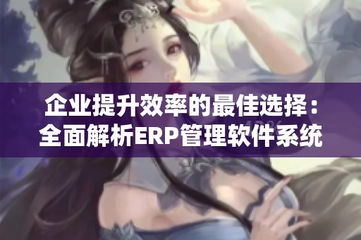企业提升效率的最佳选择：全面解析ERP管理软件系统