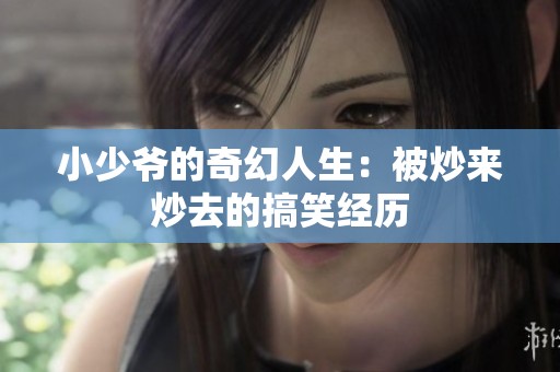 小少爷的奇幻人生：被炒来炒去的搞笑经历