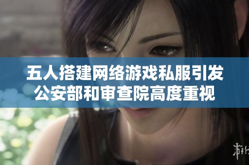 五人搭建网络游戏私服引发公安部和审查院高度重视
