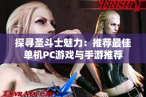 探寻圣斗士魅力：推荐最佳单机PC游戏与手游推荐