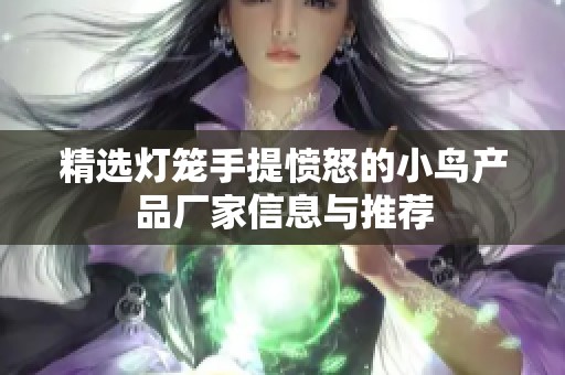 精选灯笼手提愤怒的小鸟产品厂家信息与推荐