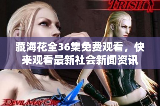 藏海花全36集免费观看，快来观看最新社会新闻资讯