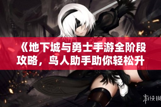 《地下城与勇士手游全阶段攻略，鸟人助手助你轻松升级》