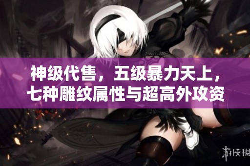 神级代售，五级暴力天上，七种雕纹属性与超高外攻资质