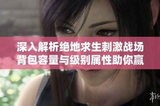 深入解析绝地求生刺激战场背包容量与级别属性助你赢得胜利