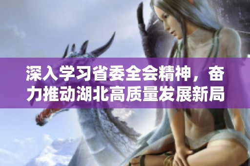 深入学习省委全会精神，奋力推动湖北高质量发展新局面