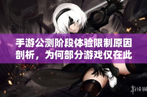 手游公测阶段体验限制原因剖析，为何部分游戏仅在此期间开放试玩