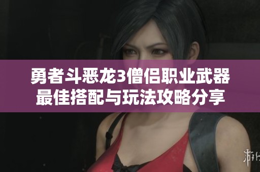 勇者斗恶龙3僧侣职业武器最佳搭配与玩法攻略分享