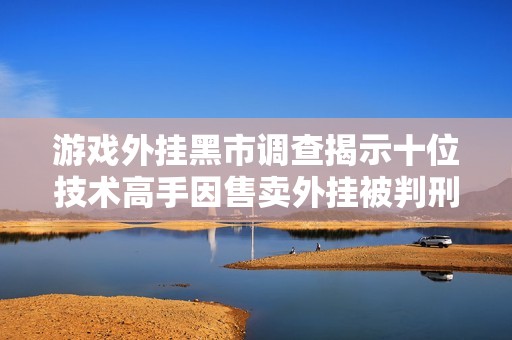 游戏外挂黑市调查揭示十位技术高手因售卖外挂被判刑情况