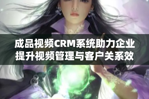 成品视频CRM系统助力企业提升视频管理与客户关系效率