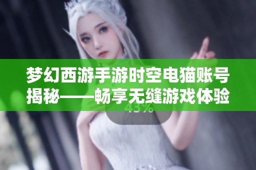 梦幻西游手游时空电猫账号揭秘——畅享无缝游戏体验的必备选择