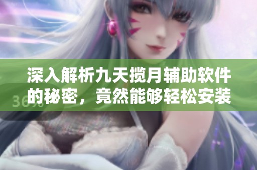 深入解析九天揽月辅助软件的秘密，竟然能够轻松安装外挂