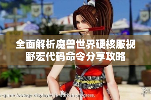 全面解析魔兽世界硬核服视野宏代码命令分享攻略