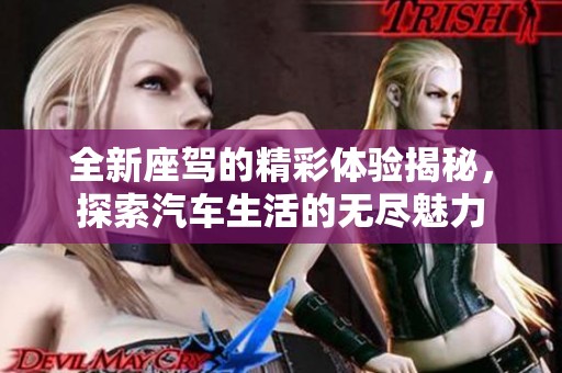 全新座驾的精彩体验揭秘，探索汽车生活的无尽魅力