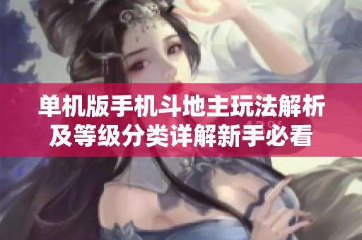 单机版手机斗地主玩法解析及等级分类详解新手必看