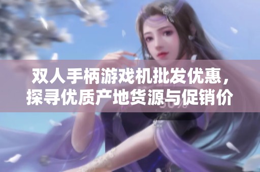 双人手柄游戏机批发优惠，探寻优质产地货源与促销价格