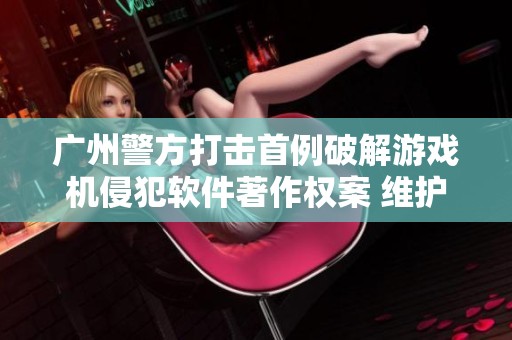 广州警方打击首例破解游戏机侵犯软件著作权案 维护版权安全