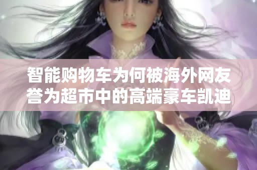 智能购物车为何被海外网友誉为超市中的高端豪车凯迪拉克