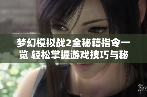 梦幻模拟战2全秘籍指令一览 轻松掌握游戏技巧与秘籍宝典