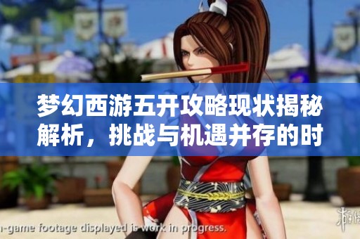 梦幻西游五开攻略现状揭秘解析，挑战与机遇并存的时代探讨