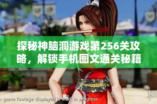 探秘神脑洞游戏第256关攻略，解锁手机图文通关秘籍的秘密