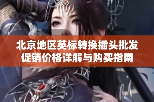 北京地区英标转换插头批发促销价格详解与购买指南