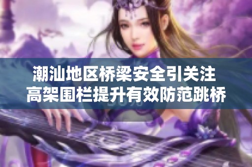 潮汕地区桥梁安全引关注 高架围栏提升有效防范跳桥事件