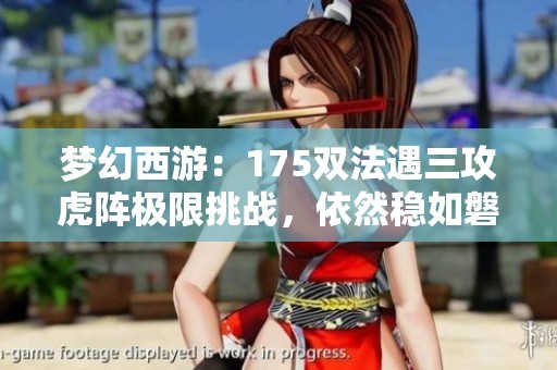 梦幻西游：175双法遇三攻虎阵极限挑战，依然稳如磐石！
