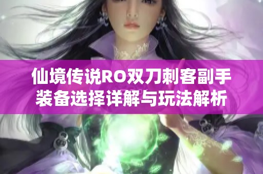 仙境传说RO双刀刺客副手装备选择详解与玩法解析