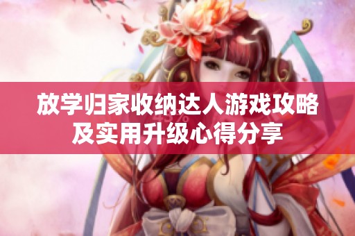 放学归家收纳达人游戏攻略及实用升级心得分享