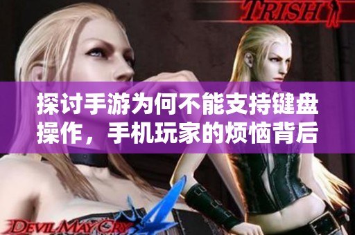 探讨手游为何不能支持键盘操作，手机玩家的烦恼背后原因揭秘